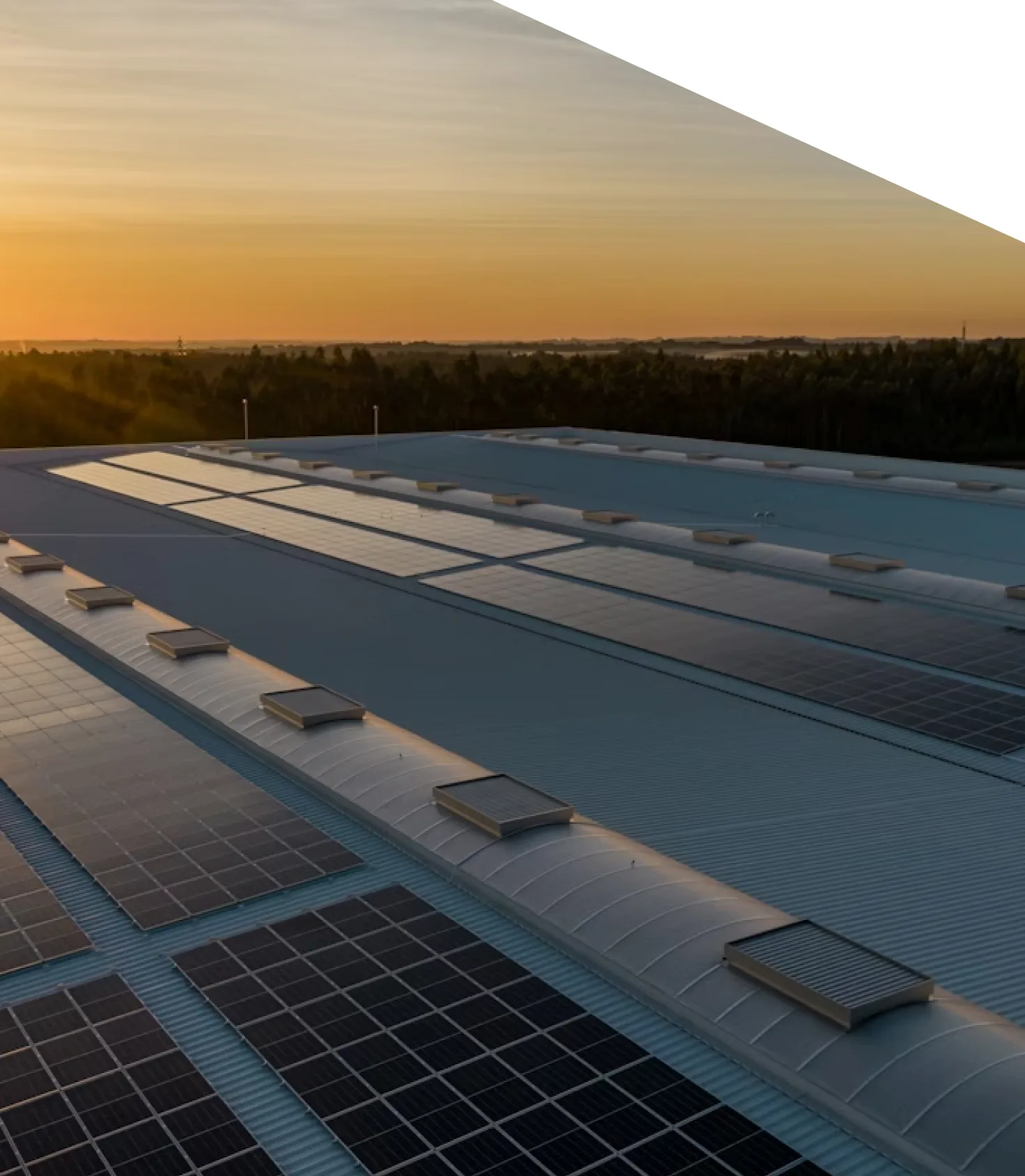 Empresa com painéis solares